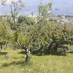 Il Boschetto 3* Ogliastro Cilento