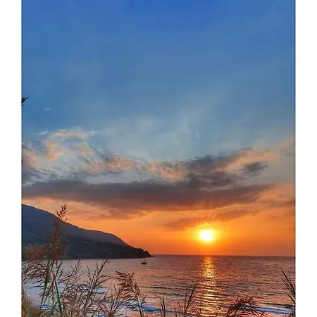 Bed and breakfast Il Boschetto Ogliastro Cilento