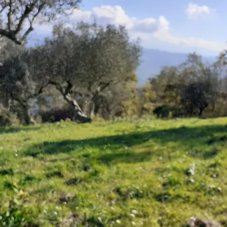 Il Boschetto Bed and breakfast 3*