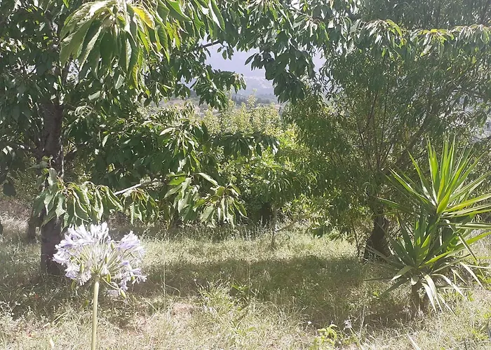 Bed and breakfast Il Boschetto 3*