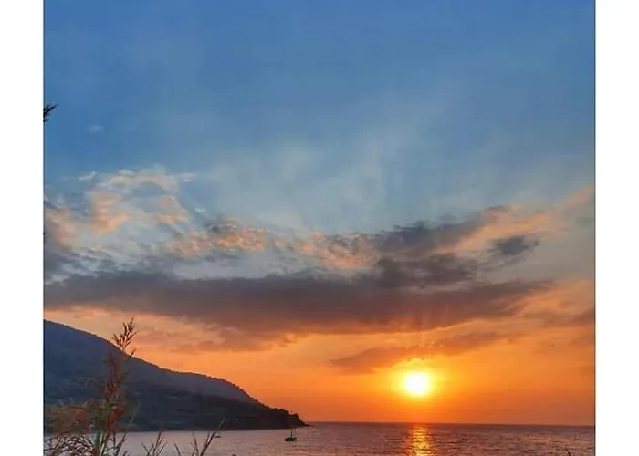 Bed and breakfast Il Boschetto Ogliastro Cilento