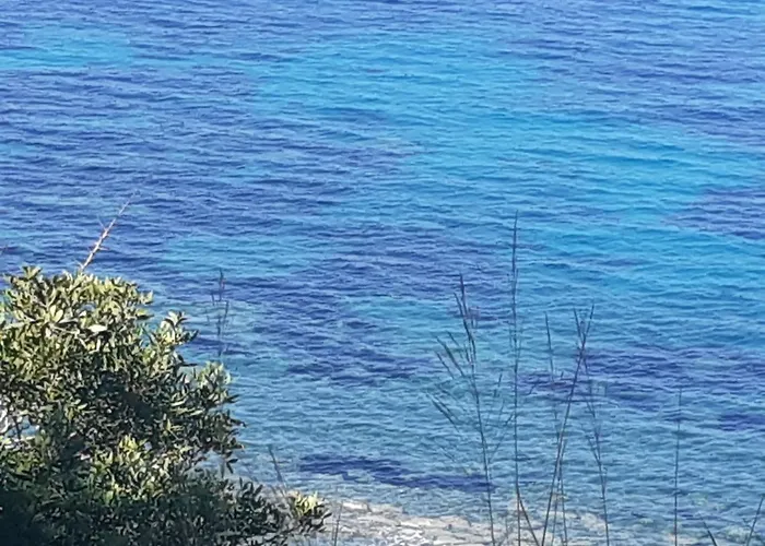 Il Boschetto Bed and breakfast Ogliastro Cilento