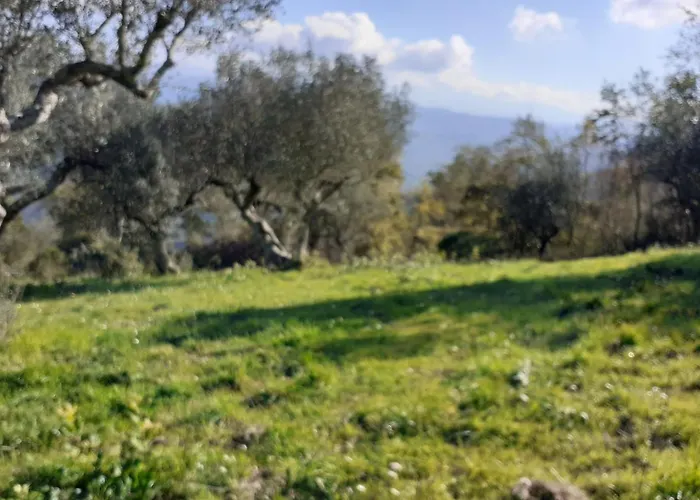 Il Boschetto Bed and breakfast 3*