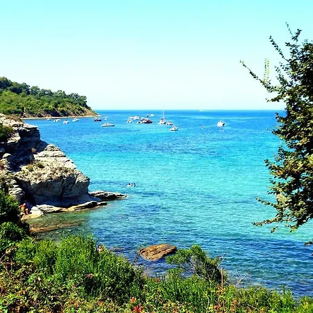 Bed & Breakfast Il Boschetto Ogliastro Cilento