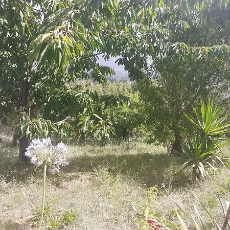 Bed & Breakfast Il Boschetto 3*