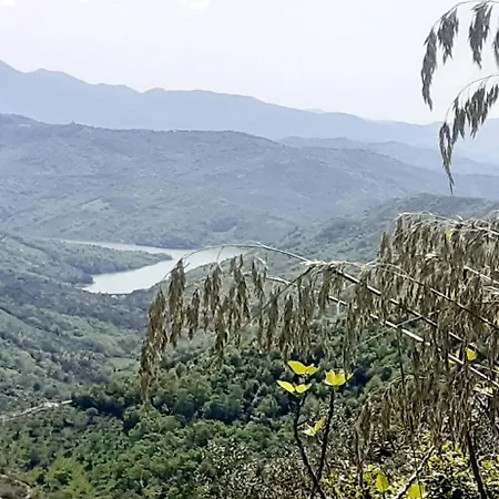 Bed & Breakfast Il Boschetto 3*