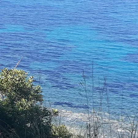 Il Boschetto Bed & Breakfast Ogliastro Cilento