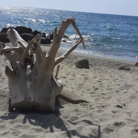 Il Boschetto Bed & Breakfast Ogliastro Cilento