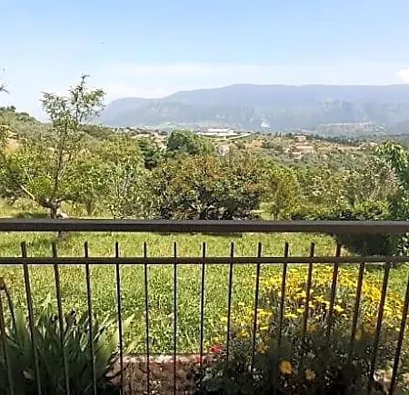 Il Boschetto Bed & Breakfast Ogliastro Cilento