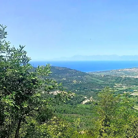 Bed & Breakfast Il Boschetto Ogliastro Cilento