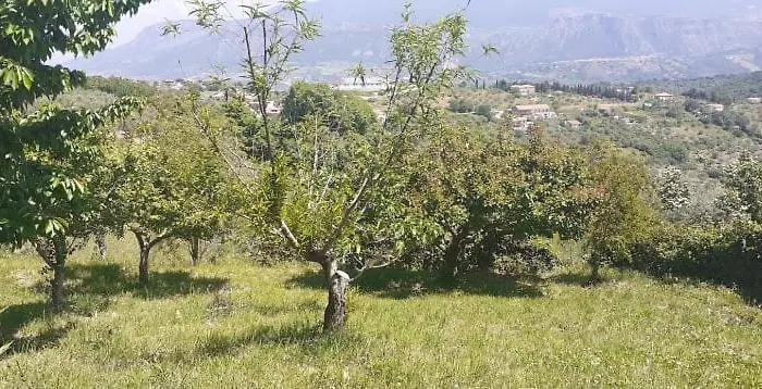 Il Boschetto 3* Ogliastro Cilento