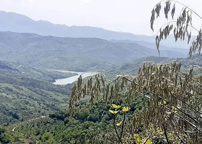 Alojamento de Acomodação e Pequeno-almoço Il Boschetto 3*