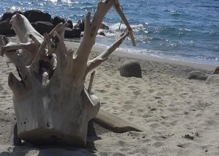 Il Boschetto Alojamento de Acomodação e Pequeno-almoço Ogliastro Cilento